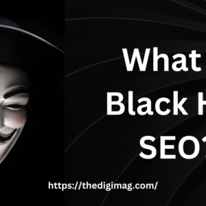 Read more about the article What is Black Hat SEO? What to Avoid in 2024.